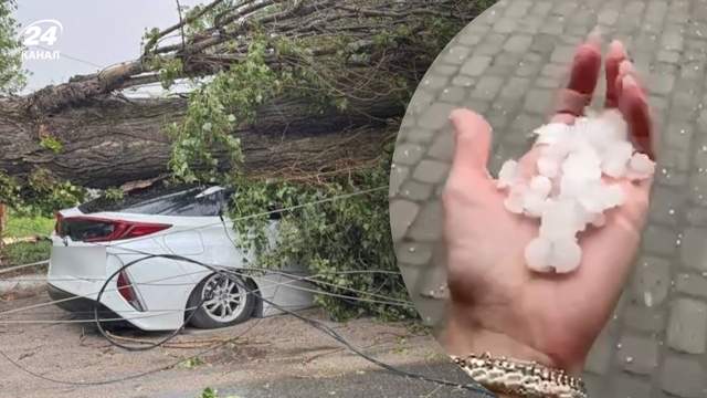 Дніпро накрили шквали та злива: дерева попадали просто на ав