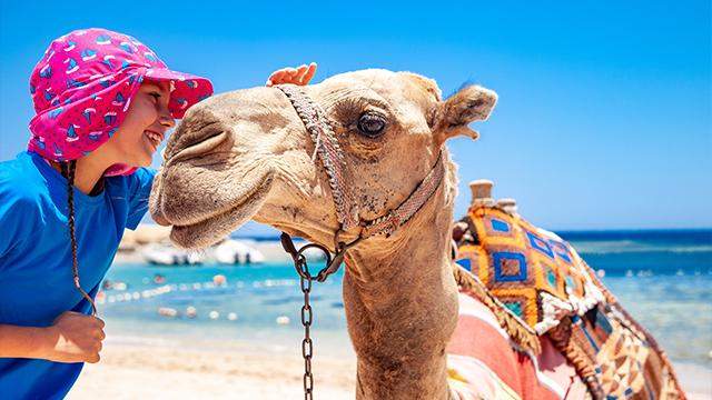 Єгипет – один із найпопулярніших курортів