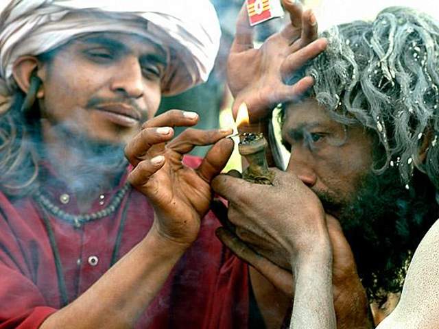 Можно ли курить марихуану в индии самая большая конопля картинки