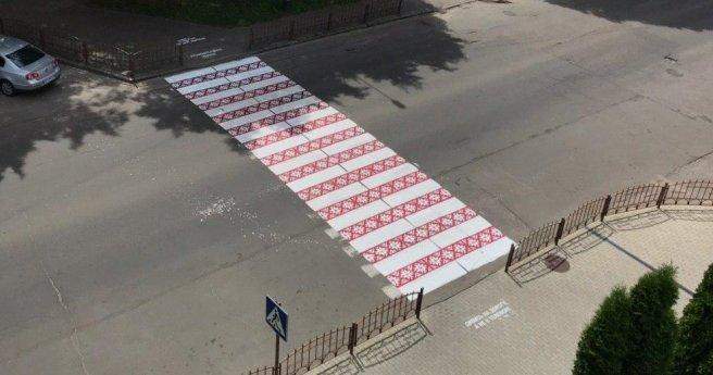 Вишивана зебра в Житомирі