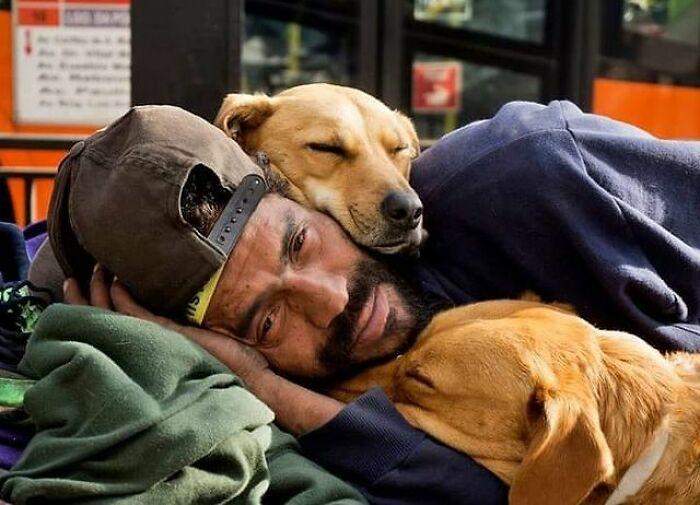 Бездомные люди и их собаки из Бразилии