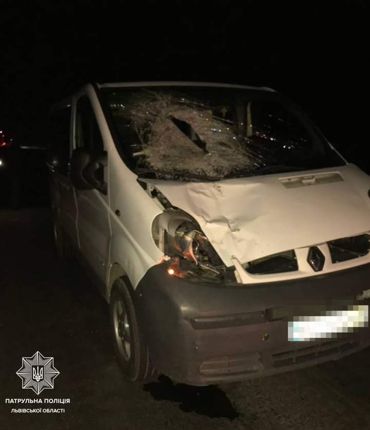 На трасі Львів – Краковець мікроавтобус на смерть збив пішохода: фото