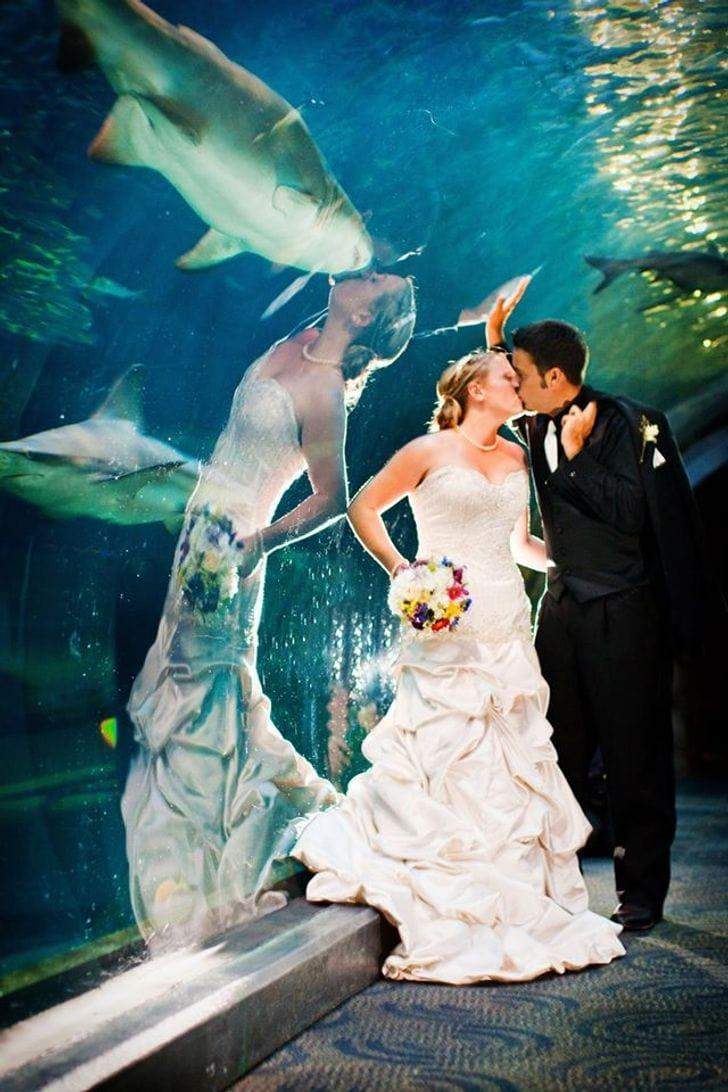 Що тут відбувається: 15 дивовижних весільних фотографій, які змусять усіх сміятися (ФОТО)