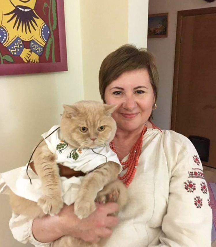 5 украинских кошек, ставших настоящими звездами сети