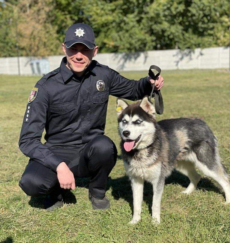 Полицейские в Виннице сделали яркую фотосессию с собаками в приюте: невероятные фото