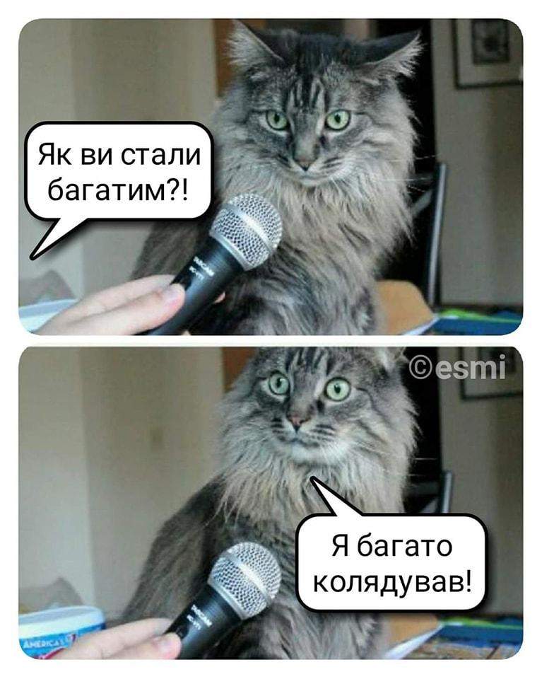 Самые смешные мемы недели: Украина колядует, последствия праздников, все  эксперты из Казахстана - ukraina-novosti - 24 Канал