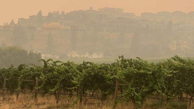 Канада, дим