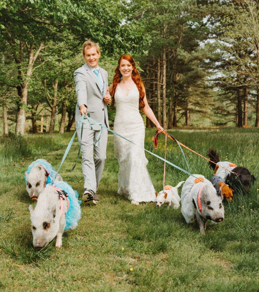 Пара нарядила всіх своїх тварин для свого весілля 