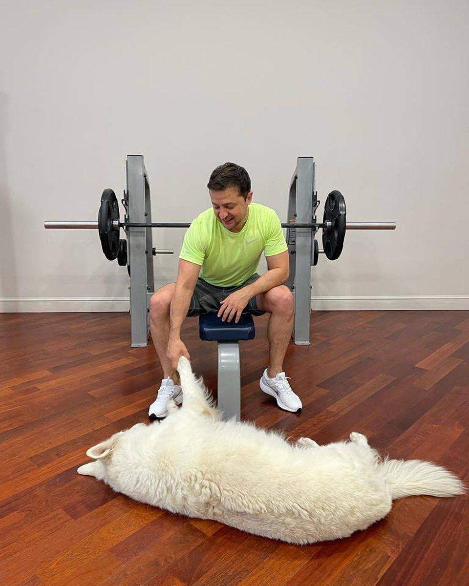 Зеленський і песик