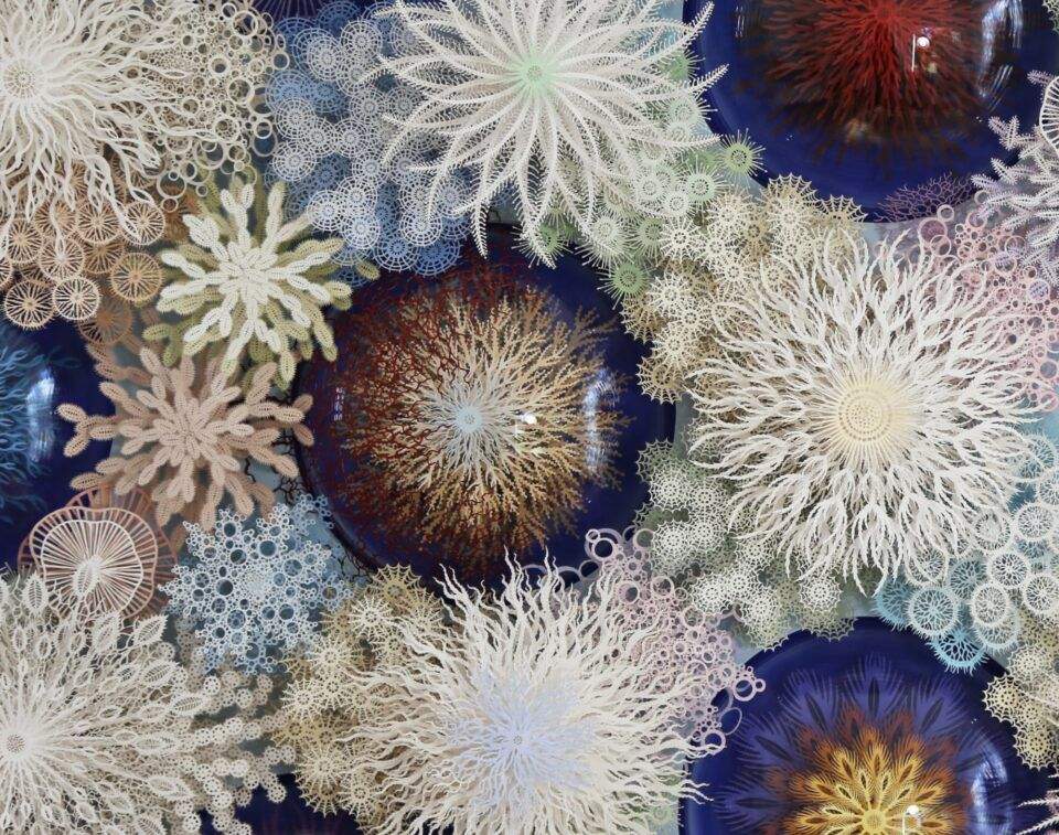 Корали з паперу 