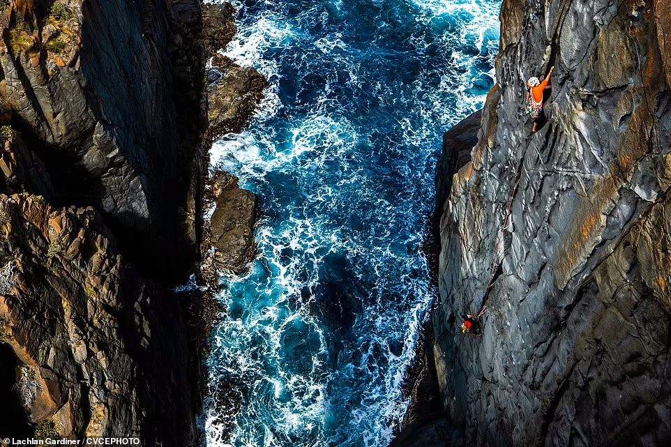 obra del fotógrafo australiano Lachlan Gardiner